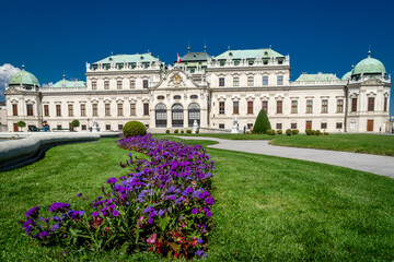 Fototapeta na wymiar Bleveder with levander in Vienna