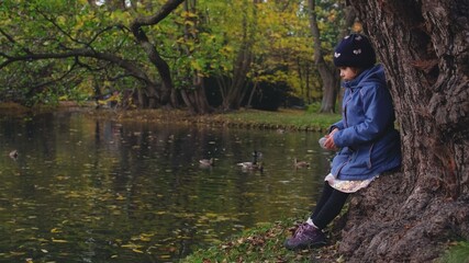 Fototapeta na wymiar Young Caucasian Girl in Warm Jacket Feeding Ducks Swimming in Park Pond on Beautiful Autumn Day