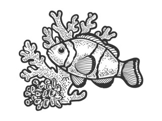 Obraz premium clown fish in coral sketch raster illustration