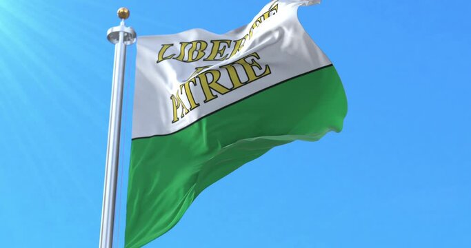 Canton of Vaud Flag, Switzerland. Loop