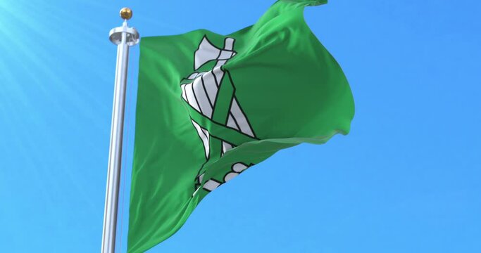 Canton of St Gallen Flag, Switzerland. Loop