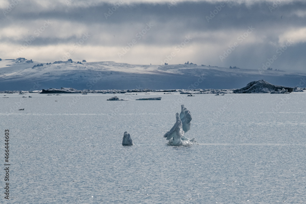 Canvas Prints arctic landscape