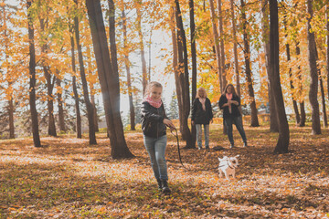 Fototapeta premium Little girl running with her dog jack russell terrier among autumn leaves. Mother and grandmother walks behind