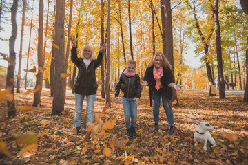 Naklejka na ściany i meble Grandmother and mother with granddaughter throw up fall leaves in autumn park and having fun. Generation, leisure and family concept.