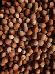 background of hazelnuts