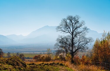 Fototapeta premium landscape with trees and mountain during autumn