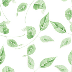 Fototapeta premium Delicate green leaves. Watercolor illustration for wallpaper, wrapping paper, textiles.