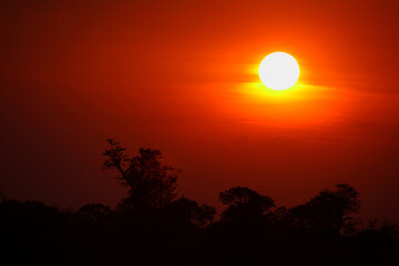 Sonnenuntergang Krüger Park Südafrika / Sundown Kruger Park South Africa /