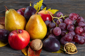 Autumn still life with fruit and nuts