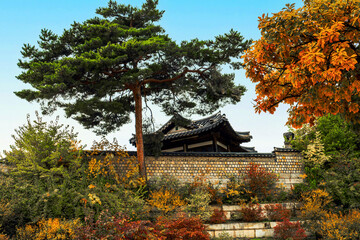 Autumn in the palace(Changdeokgung), Seoul, Korea