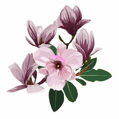 Vintage floral composition set with pink magnolia flower on white. Romantic design for natural cosmetics, perfume, women products. Can be used for greeting card, wedding invitation.