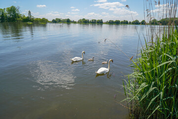 The rain is a tributary of the Danube and flows through the Bavarian Forest, photographed in autumn