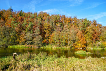 The rain is a tributary of the Danube and flows through the Bavarian Forest, photographed in autumn