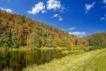 The rain is a tributary of the Danube and flows through the Bavarian Forest, photographed in autumn