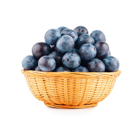 Blackthorns in basket isolated on white background