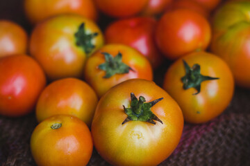 Tomatos are placed on the sack of sack.