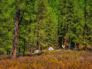 Fototapeta premium Expedition camp in the autumn taiga. Camping in the mountain autumn landscape with colorful forest.