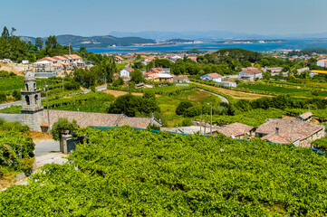 Fototapeta na wymiar Vista de Sanxenxo desde una zona de viñedos de Alvariño, Pontevedra, Galicia.