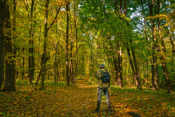 a man strolls through an autumn forest