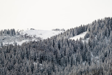 Forêt de montagne en hiver avec un télésiège au sommet