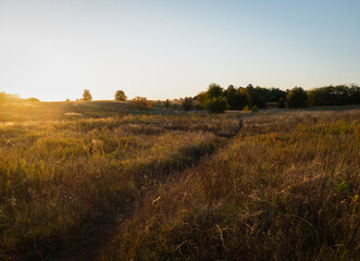 Obraz premium sunset over the field during the golden hour