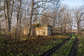 ruins in countryside