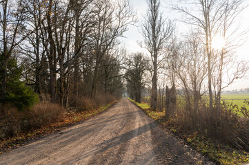 country road in autumn