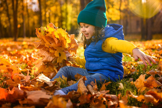 Autumn game for children. Cute baby girl with collected dry maple leaves in hand throws fallen dry leaves up, watches how they crumble. Beautiful child in the park at sunset.Colorful warm image for ad