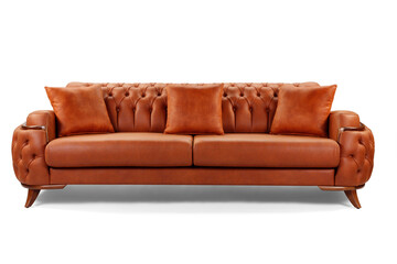 Modern sofa isolated on white background . front view