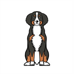 Bernese バーニーズ