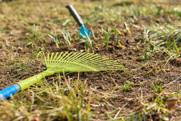 Spring cleaning backyard flower bed with sprouting flowers