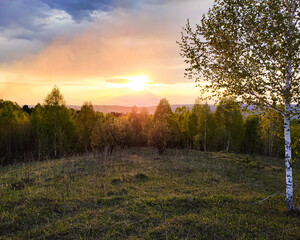 Obraz na płótnie Canvas sunset in the forest spring