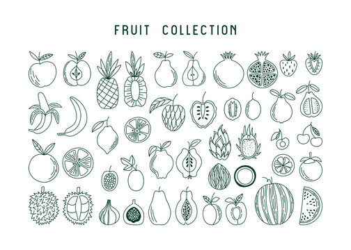 Set of various fruits and berries in line art style. Apple, pineapple, pear, pomegranate, strawberry, banana, citrus, and exotic fruits. Vector illustration with plant food