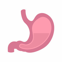 Vector human stomach icon isolated on white background. Vector illustration