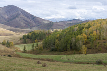 Mountain Charysh Altai Territory, Russia, autumn horizontal landscape with mown meadows, hay in bales, forests and snow-capped mountains with clouds