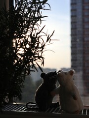 silhoette of plush toys at sunset