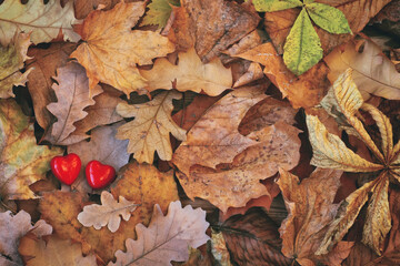 Bunch of various dry autumn leaves, two red hearts