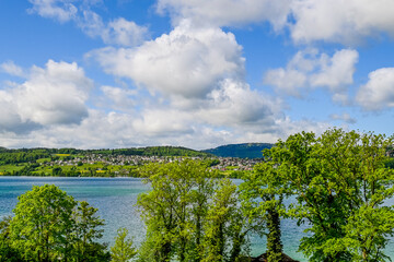 Beinwil, Hallwilersee, See, Seeufer, Seeuferweg, Naturschutzgebiet, Dorf, Meisterschwanden, Naturschutzgebiet, Schifffahrt, Aargau, Sommer, Schweiz