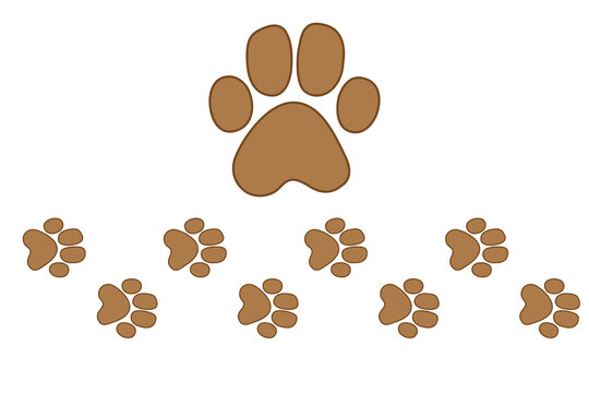 tiger tracks. Typical footprints - isolated black icon vector illustration on white background. symbol 2022
