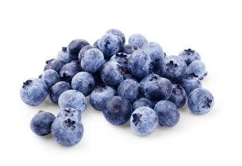 Blueberries on a white background