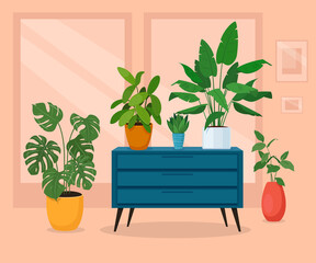 Different indoor plants in the interior. Houseplants in pots stand on a turquoise commode in the living room. Vector illustration 