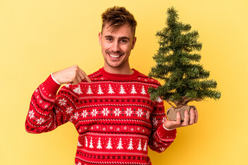 Young caucasian man holding a Christmas tree isolated on yellow background person pointing by hand to a shirt copy space, proud and confident