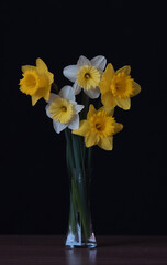 Flowers of yellow daffodils in a vase.