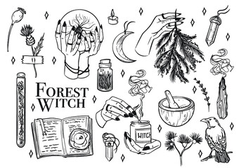 Autumn witch collection set of hand drawn illustrations vector black and white icons
