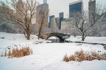 Foto op Plexiglas Gapstow Brug Gapstow-brug in Central Park