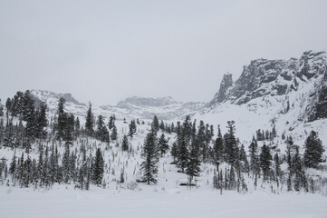 snow covered mountains, snow covered trees in mountains