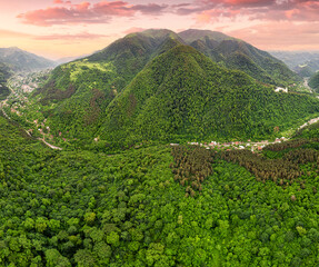 Drone view of a mountain valley with dense forests and a road along which houses and villages have grown. Ecosystem and the lungs of the planet