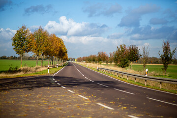 Straße im Herbst in Sachsen-Anhalt, Salzlandkreis