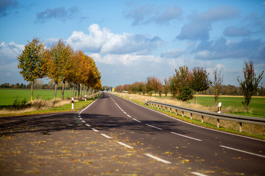 Stra&szlig;e im Herbst in Sachsen-Anhalt, Salzlandkreis