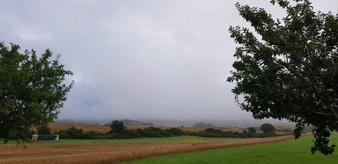 Wetter